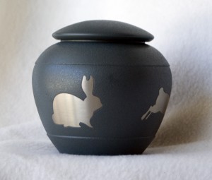 0713-BunnyGinger2-1000px