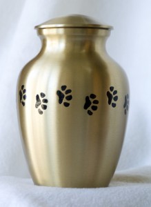 0713-Gold GingerPaws-1000px