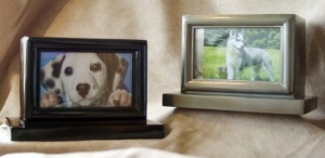 Metal-frames