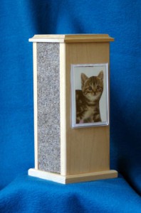 kitty-post